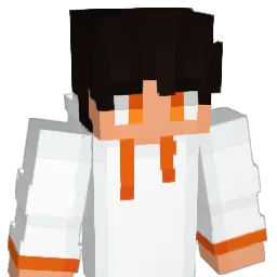 Roki220's Minecraft skin