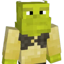 RokiRok1 Minecraft avatar bust