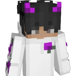 RokjesJager Minecraft avatar bust