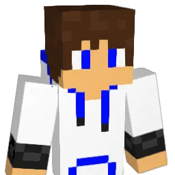 Roman_1002's Minecraft skin