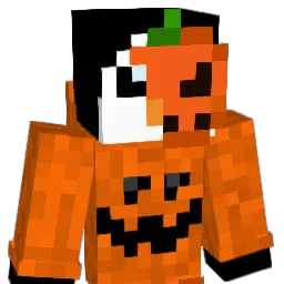 Romxrjs Minecraft avatar bust