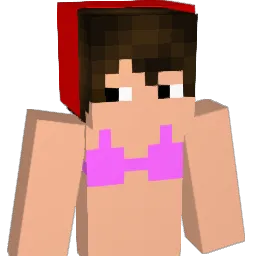 Ronanreidelas Minecraft avatar bust
