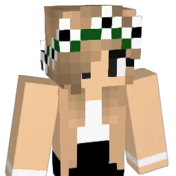 Ronchu8 Minecraft avatar bust