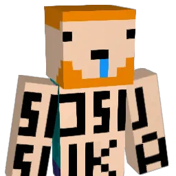 Rondiiii Minecraft avatar bust