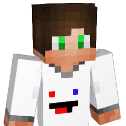 Rondom_Player Minecraft avatar bust