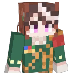 Roneri_ Minecraft avatar bust