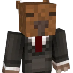 Ronnie31 Minecraft avatar bust