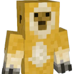 Rookie_Kong
