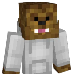Rotnob's Minecraft skin