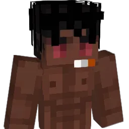 RoxBtw_ Minecraft avatar bust