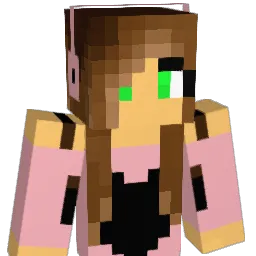 Roxy_233 Minecraft avatar bust