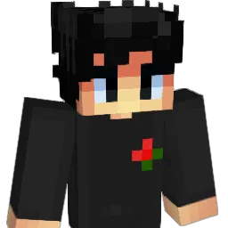 Rqin_ Minecraft avatar bust