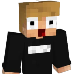 Rsx_ Minecraft avatar bust