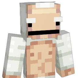 Rtrte4t Minecraft avatar bust