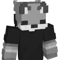 Ruanzin14 Minecraft avatar bust