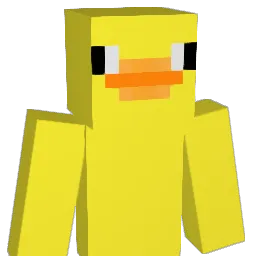 RubberDucky49 Minecraft avatar bust