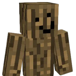 Ruddus1229 Minecraft avatar bust