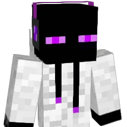 Rudi3333 Minecraft avatar bust