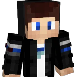 Ruff27Bricks28 Minecraft avatar bust