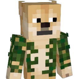 Ruff_b0i Minecraft avatar bust