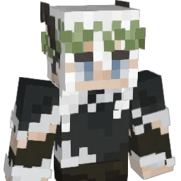 Rufin_ Minecraft avatar bust
