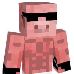 Runter98 Minecraft avatar bust