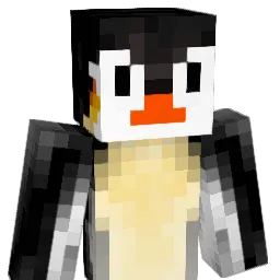 Ruuder's Minecraft skin