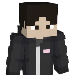 RvNiz Minecraft avatar bust