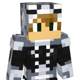 Rvalverde9 Minecraft avatar bust