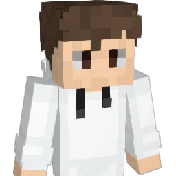 Rx1k Minecraft avatar bust