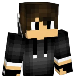 Ry123br Minecraft avatar bust
