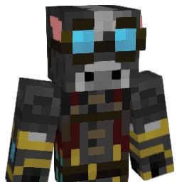 Ry_like_pi Minecraft avatar bust
