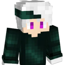 RyanEnSlipNoir Minecraft avatar bust