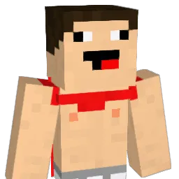Rybud07 Minecraft avatar bust