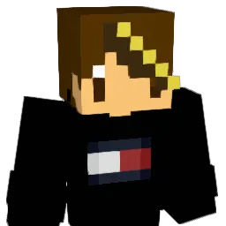 Rycoo Minecraft avatar bust
