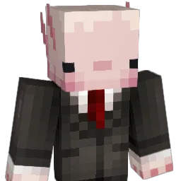 Rydor573 Minecraft avatar bust