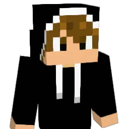 Rye_Owl Minecraft avatar bust