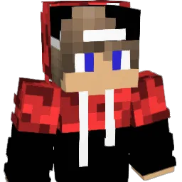 Rypio_o Minecraft avatar bust