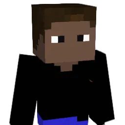 Ryuzaki008 Minecraft avatar bust