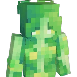 S0LEIL_ Minecraft avatar bust