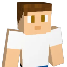S0cksWithSandals Minecraft avatar bust