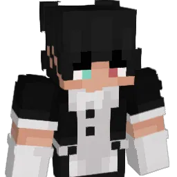 S0lenXX Minecraft avatar bust