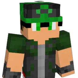 S0nicDeCalcinha Minecraft avatar bust