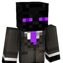 S10an199 Minecraft avatar bust