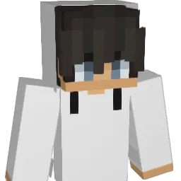 S3RO1 Minecraft avatar bust