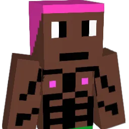 S3xySingleIndian Minecraft avatar bust
