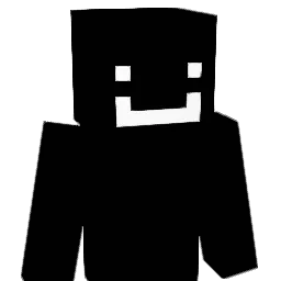 S4OK0 Minecraft avatar bust