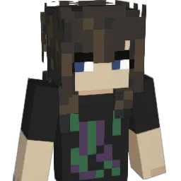 S4rara3 Minecraft avatar bust