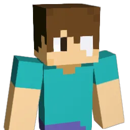 SAIDEN_PLAYER Minecraft avatar bust