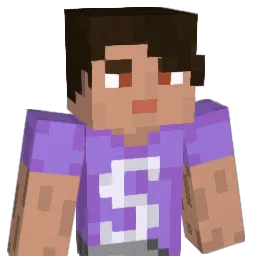 SAIDI36 Minecraft avatar bust